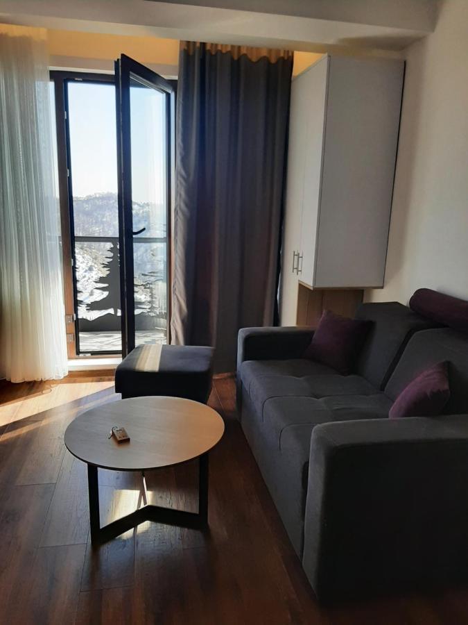 Vihor A21 Appartement Kopaonik Buitenkant foto